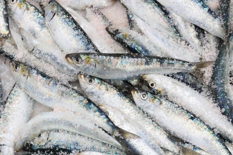 ALERT: Irish consumers warned as seafood products recalled from supermarkets