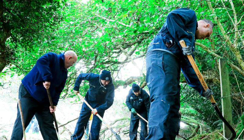 PICTURES: Gardaí combing Kildare woodlands in search for Deirdre Jacob clues 