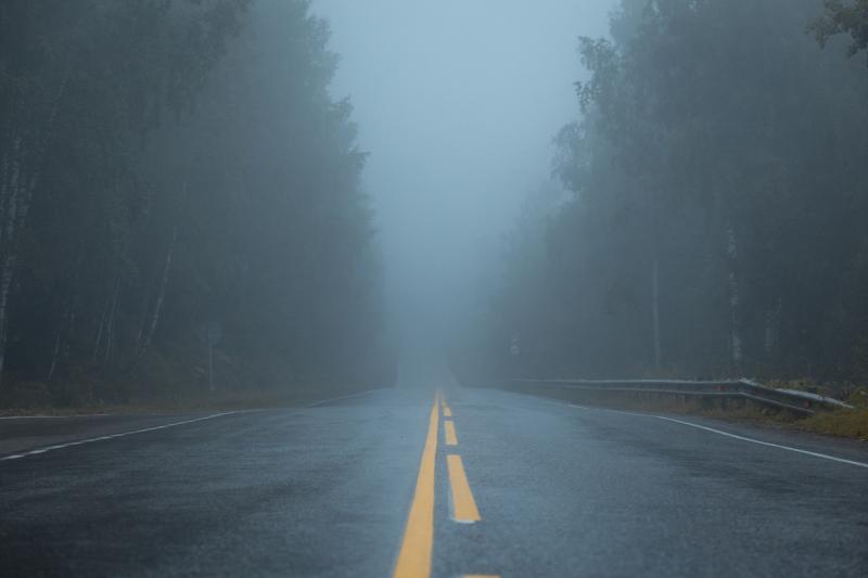 WEATHER: Met Éireann warns as County Carlow is under yellow warning for fog