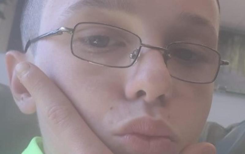 Gardai seeking public assistance to find 14-year-old Ali Brdar, missing since yesterday morning.