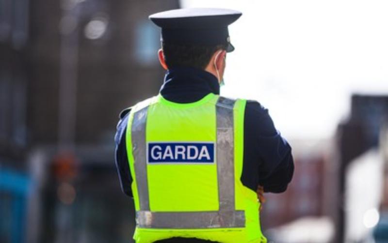 €360,000 of suspected cannabis seized and one man arrested