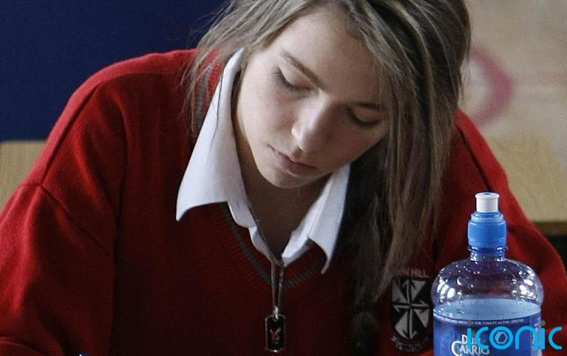 Leaving Certificate fails to prepare students for future challenges, committee told
