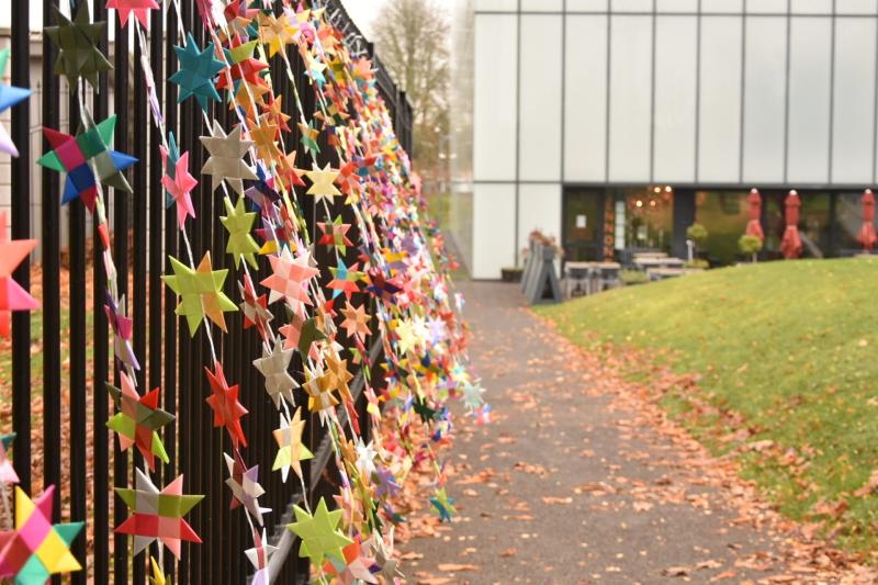 Carlow helps One Million Stars project reach 100,000 stars milestone