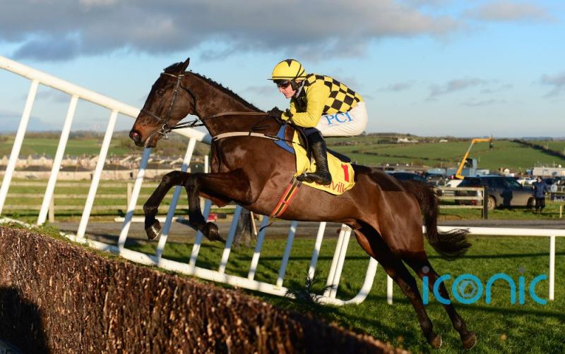 Carlow trainer Willie Mullins plots path to Cheltenham for chasing star 