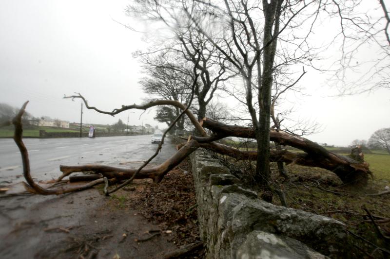Met Éireann issues status yellow wind warning for seven counties this afternoon