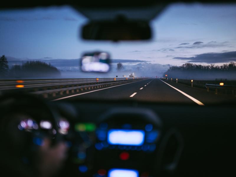 Dogs loose on M9, motorists in Carlow advised to drive with caution 
