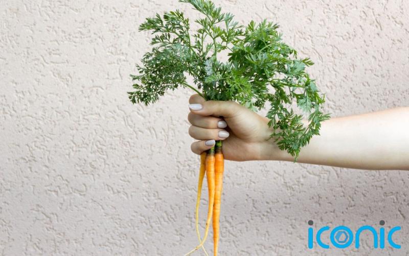 Beanless coffee and potato milk? Nine food trends to look out for in 2022