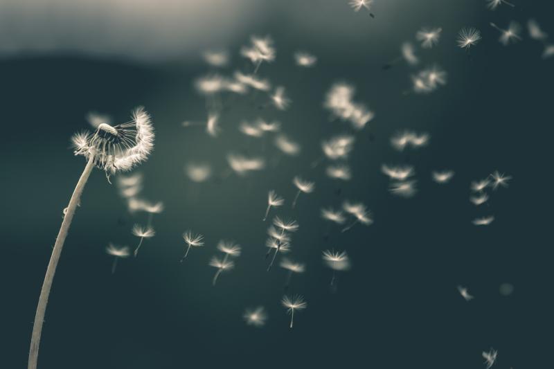CARLOW WEATHER: Dry conditions expected today (Feb 2) with some patchy drizzle