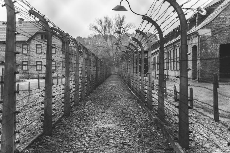 Carlow College to Host Public Lecture with Holocaust Survivor