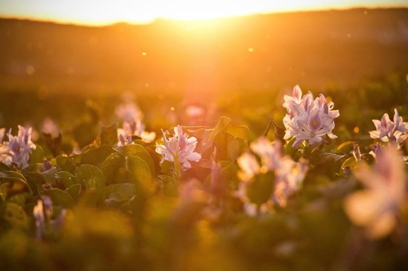 CARLOW WEATHER: Bright and sunny spells to continue throughout the day