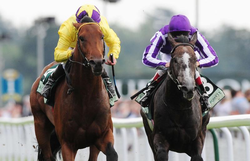 Like father, like son? John Oxx expecting Baaeed to go the distance