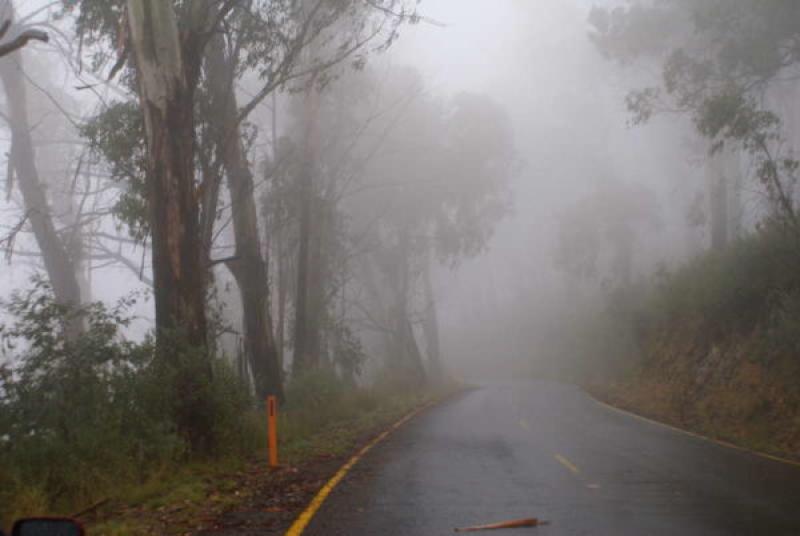 CARLOW WEATHER: Lingering fog expected this morning (Nov 22) with rain later on