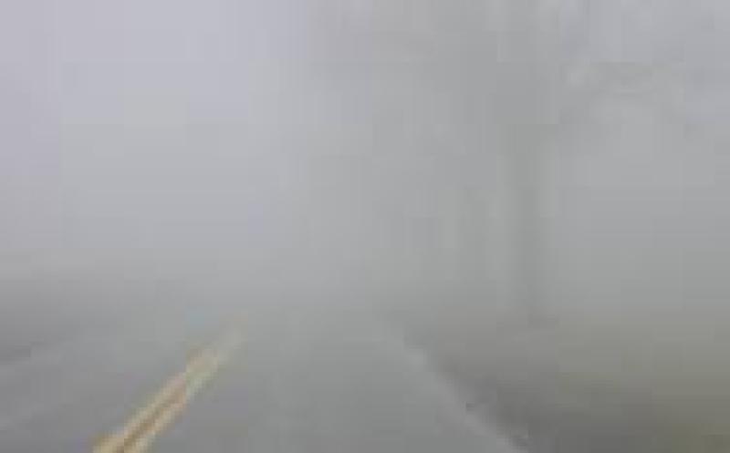 WEATHER: Mist and fog with scattered showers expected in Carlow today (Dec 17)