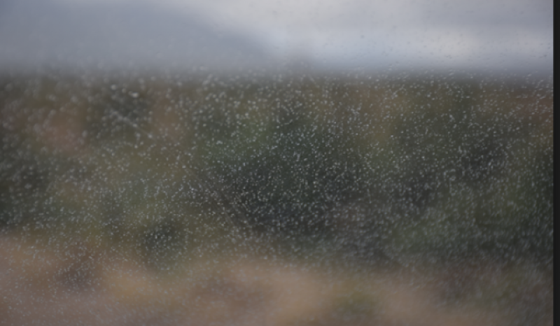 WEATHER: Rain and milder temperatures to be expected in Carlow today (Dec 18)