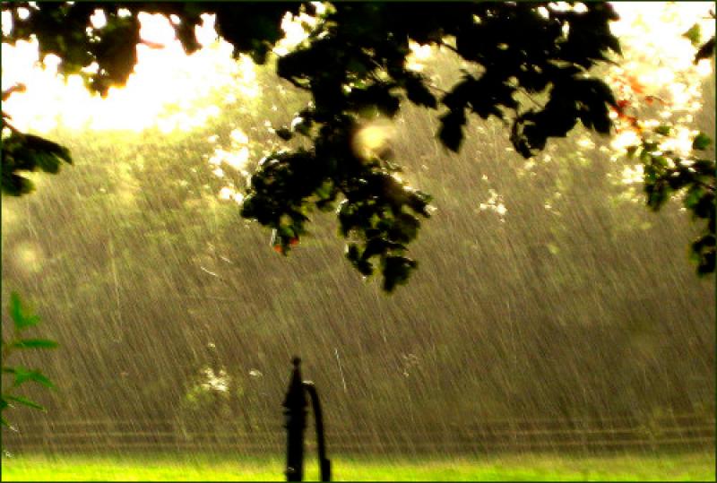 CARLOW WEATHER: Mostly dry today (Feb 23) with sunshine and a chance of showers