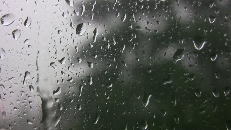 WEATHER: 'Dull and damp' with heavy drizzle on the horizon in Carlow
