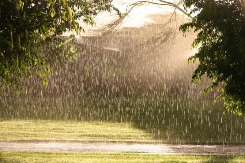 WEATHER: Isolated showers and sunny spells to be expected today (August 16) 