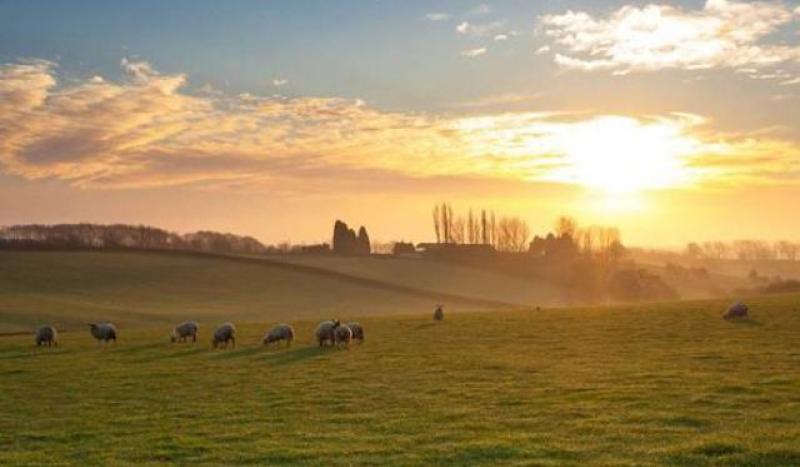 CARLOW WEATHER: Dry and mild with sunny spells today (April 4)