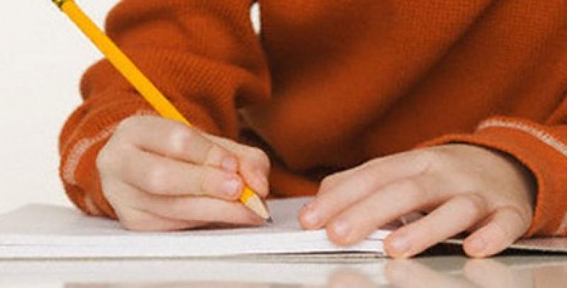Carlow children invited to submit stories for Easter creative writing competition