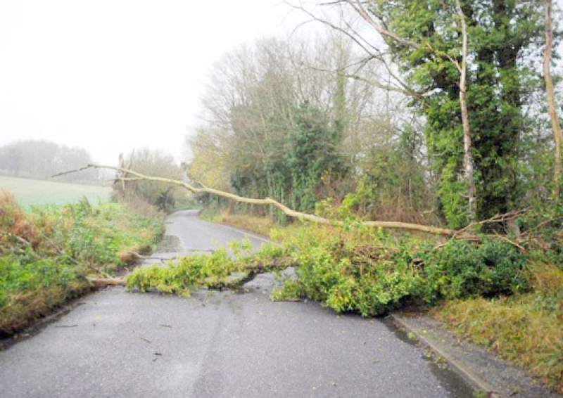 Met Éireann warns motorists of possible downed trees as Status Yellow wind alert issued