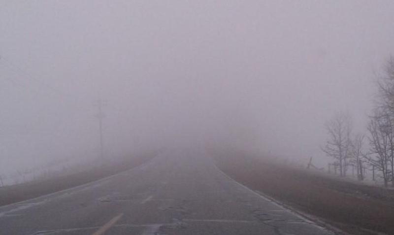 CARLOW WEATHER: Mostly cloudy today (Feb 10) with mist and fog in places
