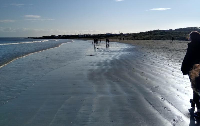 Water Safety Ireland issues appeal to Carlow public after tragic drownings