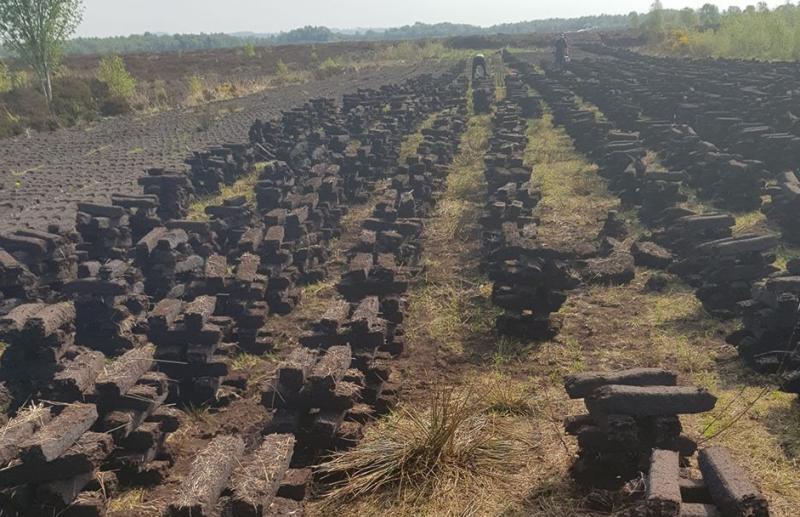 Carlow land owners warned over failure to stop turf cutting on protected bogs