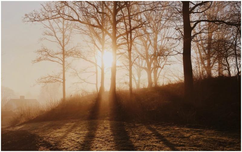 CARLOW WEATHER: A mostly dry and cold weekend ahead