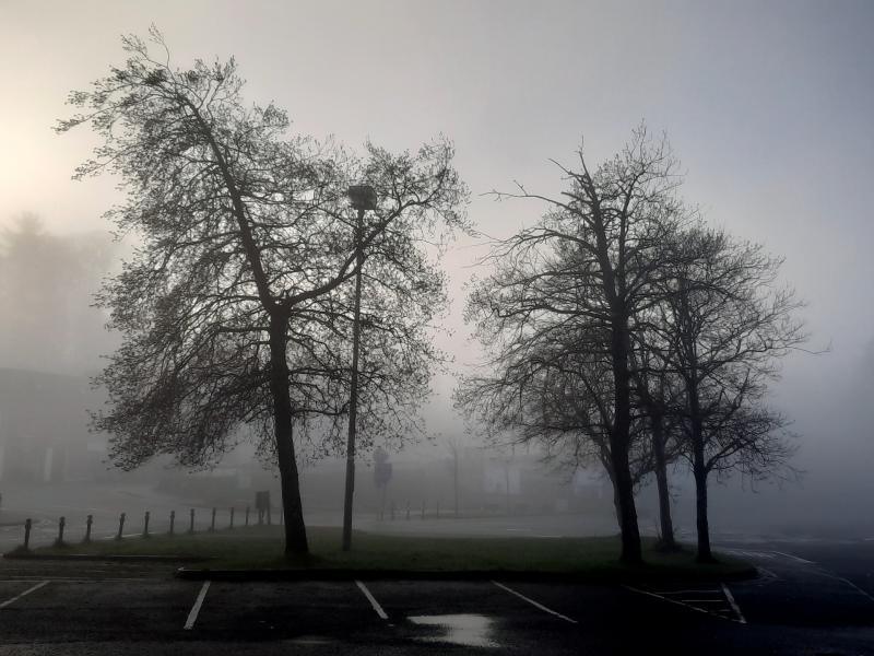 Cold start expected in Carlow this morning (Dec 7) with frost and fog patches