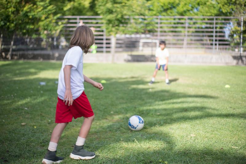 Volunteers wanted for the Bagnelstown Activity Hub sub-committee