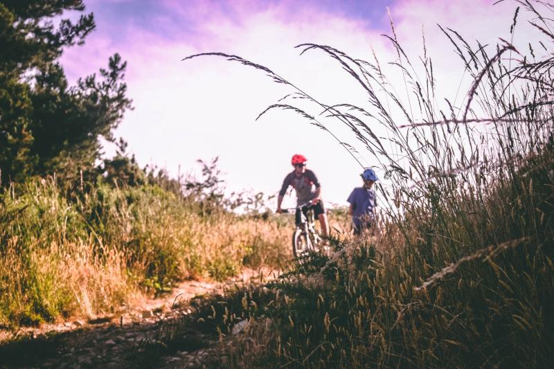 Nearly €3m in funding allocated to  Carlow travel projects 