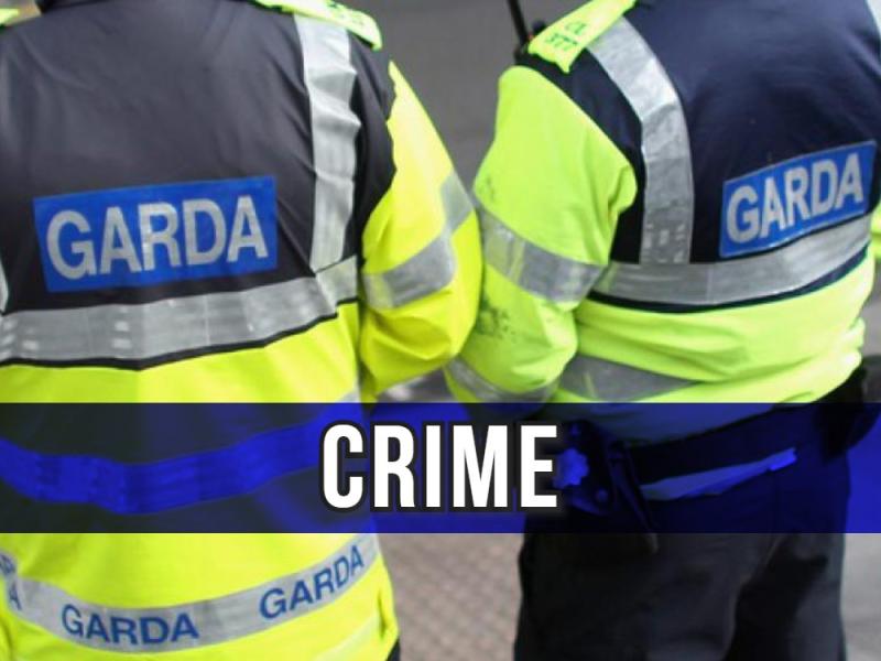 Gardaí respond as teenage girl is attacked while out exercising 