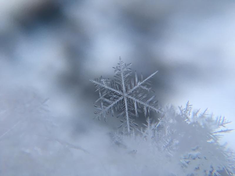 CARLOW WEATHER: Wind rain and possible snow on the way this week