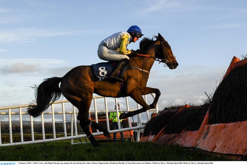 Horse racing tips for Saturday's card at Naas 