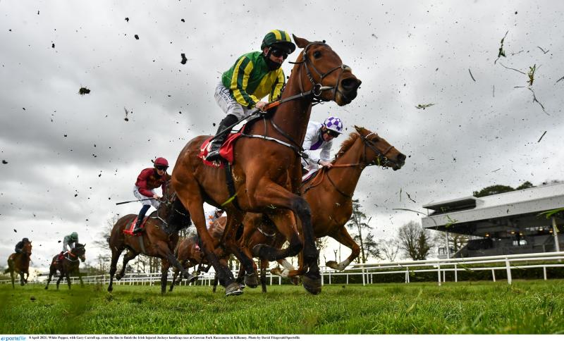 RACING: Top tips and analysis for Saturday racing at Gowran Park