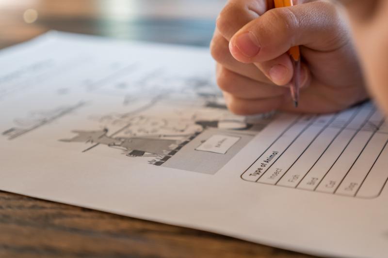 Jobs Alert: Sessional after school worker wanted in Carlow