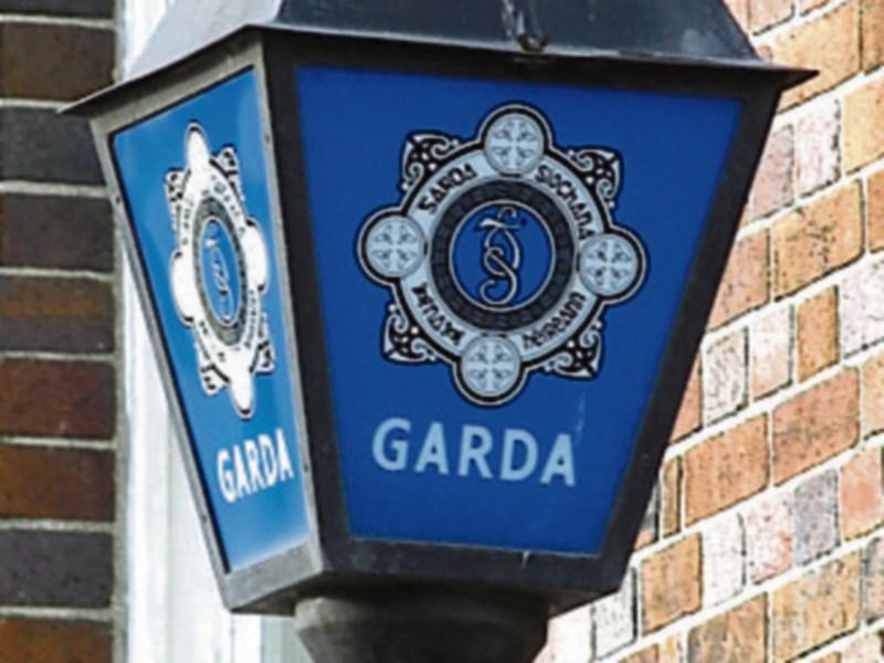 Gardaí appeal for witnesses following theft in Carlow 