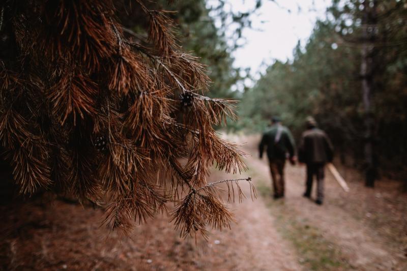 Carlow Men's Sheds is holding 'Walkshops’ this month 