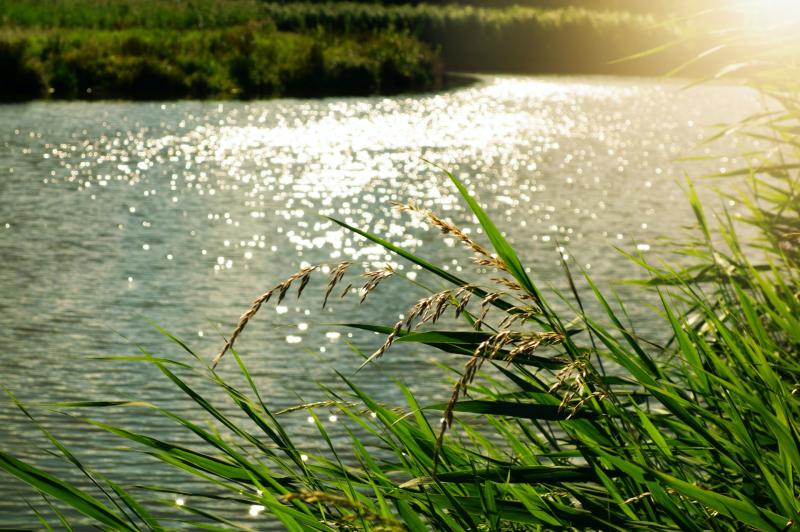 People in Carlow urged to stay away from waterways if drinking alcohol on St Patrick's Day