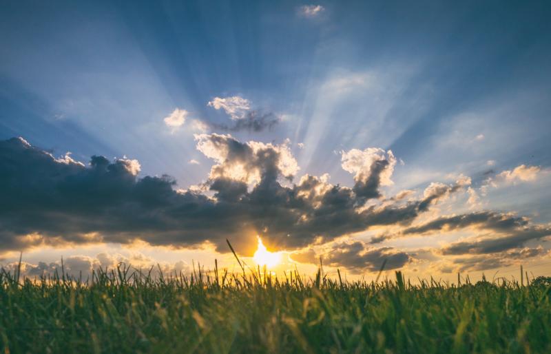 CARLOW WEATHER: Dry day ahead today (May 3) with wind and sunny spells