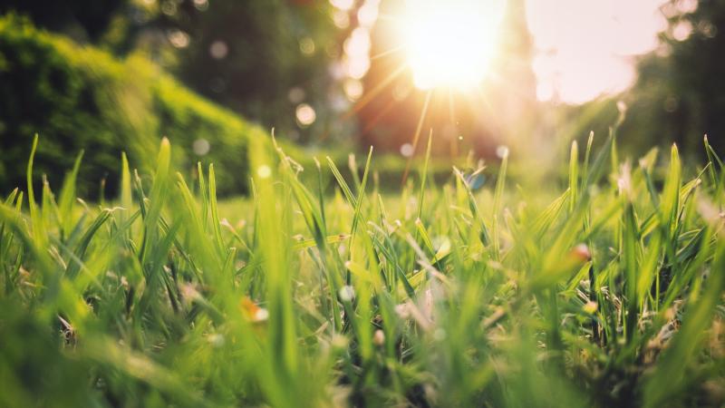 CARLOW WEATHER: Dry and bright this week as temperatures set to rise