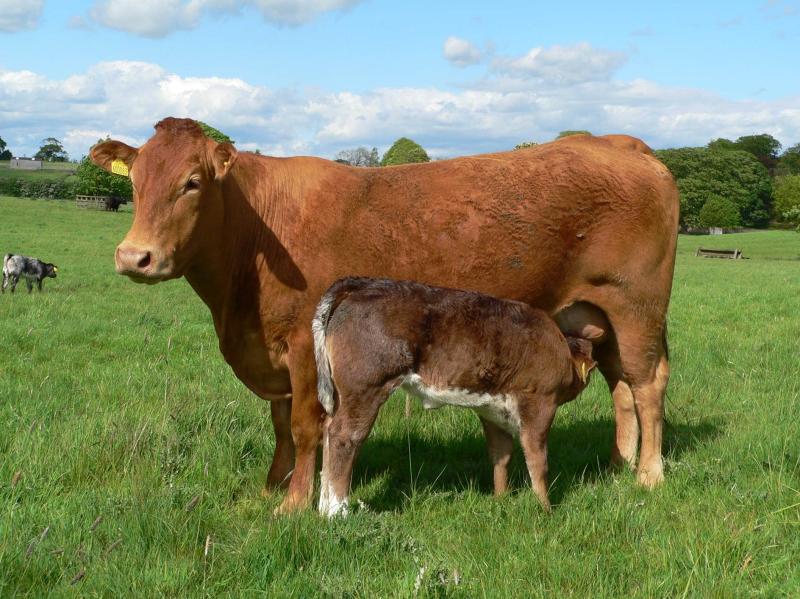€2 million funding for climate action 'will assist farmers and rural communities'