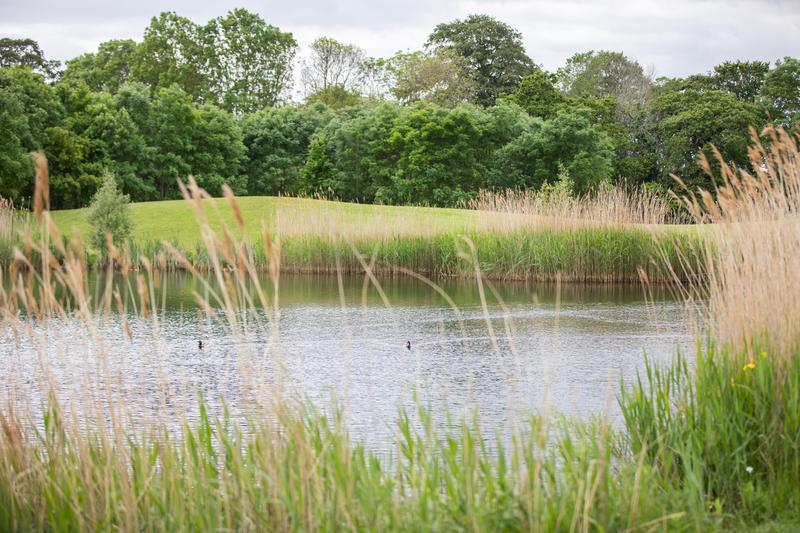 Carlow wastewater plant to be upgraded under new project 