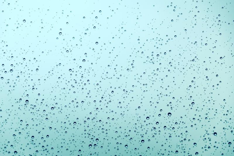 CARLOW WEATHER: Cloudy with outbreaks of rain expected today 