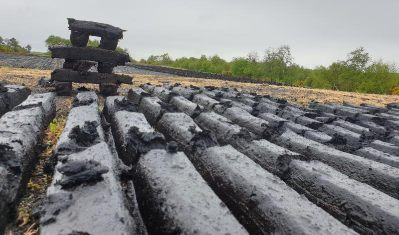 Eamon Ryan says regulation of turf will address 'chronic health issues'