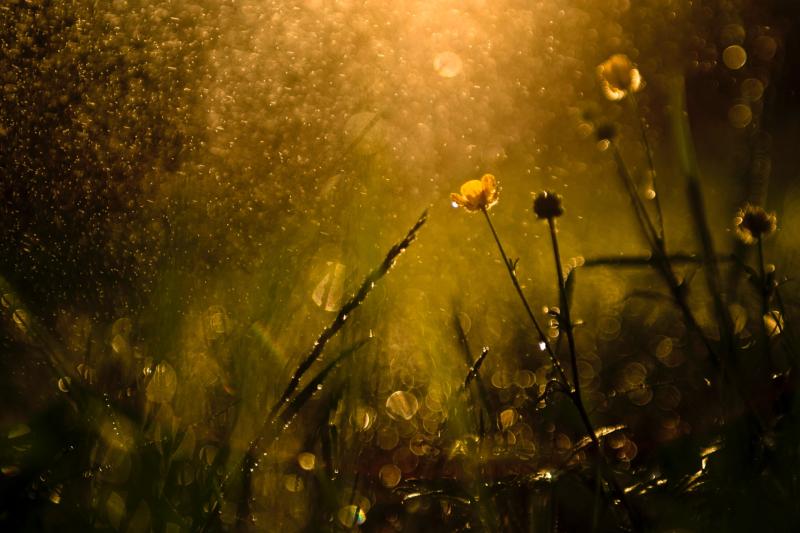 'Light rain and some bright spells following' Carlow Weather man gives weather updates