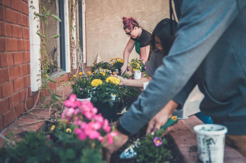 Mentoring available for Community Garden Projects as part of International Ru:Rban Project