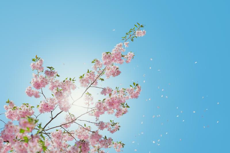 CARLOW WEATHER: Mainly dry for the weekend with temperatures hitting mid teens