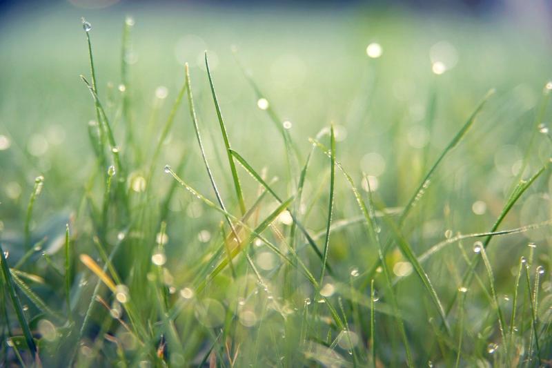 CARLOW WEATHER: An unsettled weekend ahead with heavy showers and spells of sunshine 