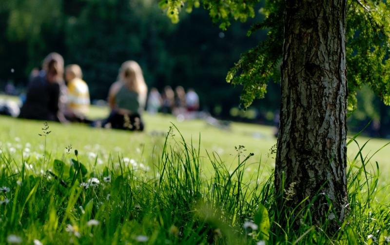 First Summer Picnic in Carlow to take place this summer with family fun day and live music